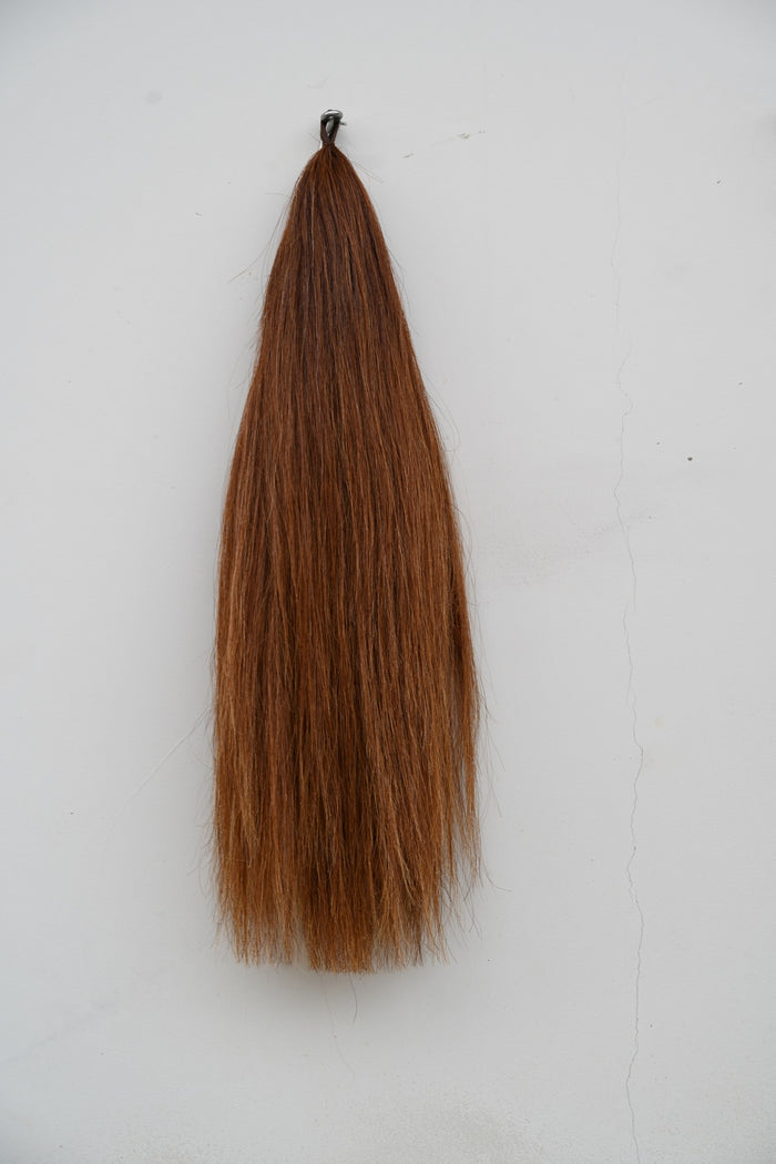 Extensión de cola tono Light Chestnut sobre fondo blanco