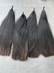 BLACK & CHESTNUT