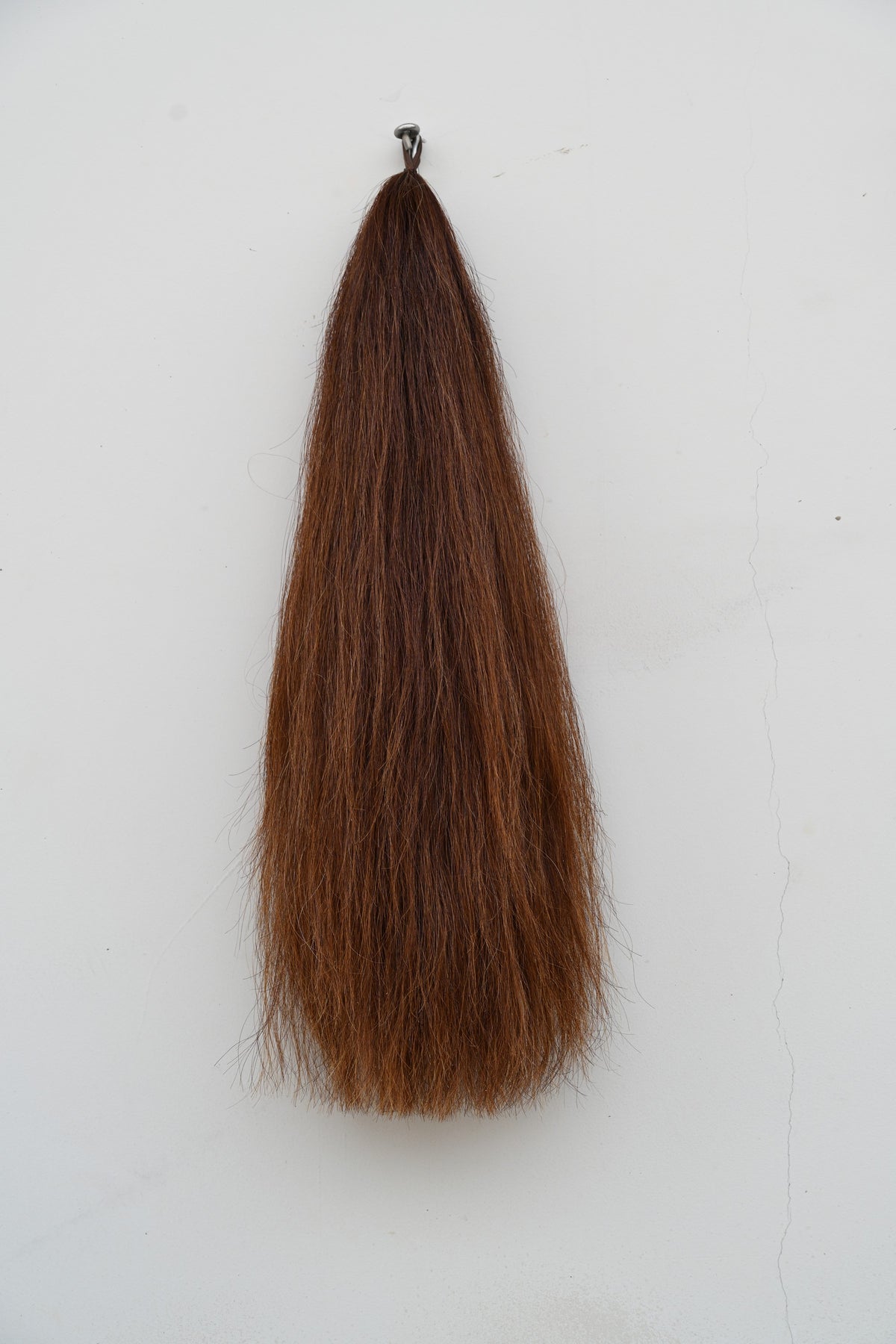 CHESTNUT