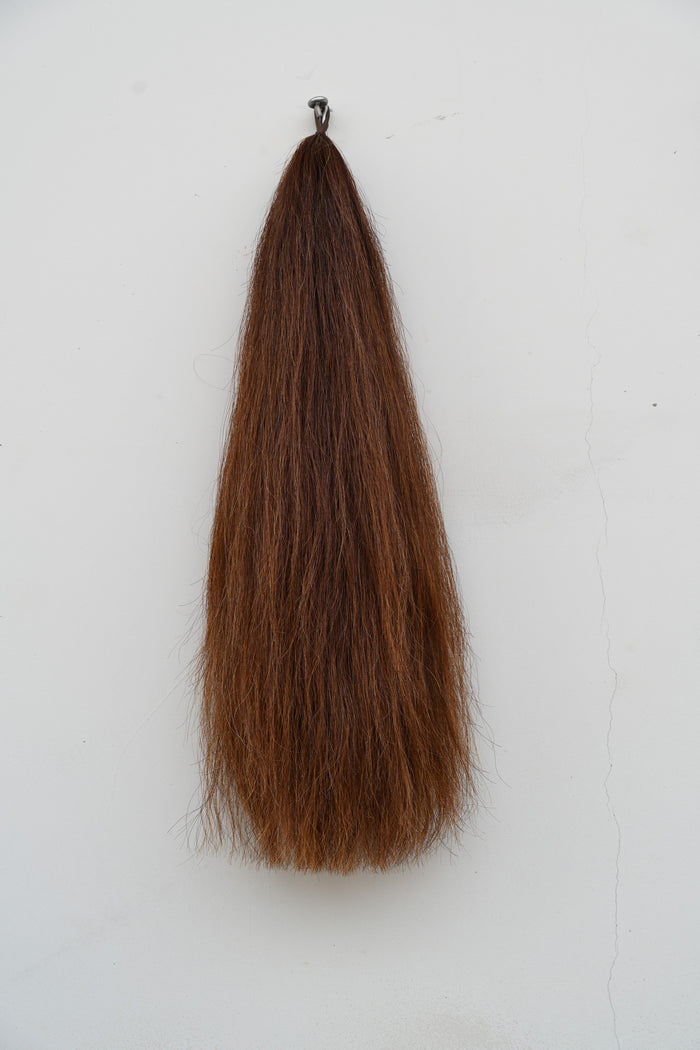 CHESTNUT