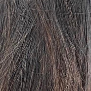 BLACK & CHESTNUT