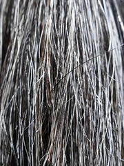 Detalle del pelo de la extensión de cola tono Dark Grey