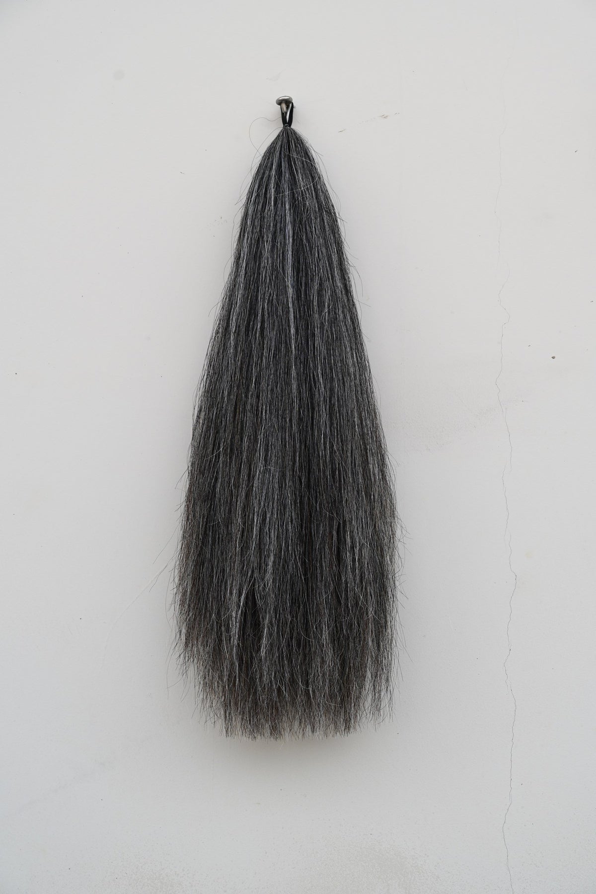 Extensión de cola tono Dark Grey sobre fondo blanco