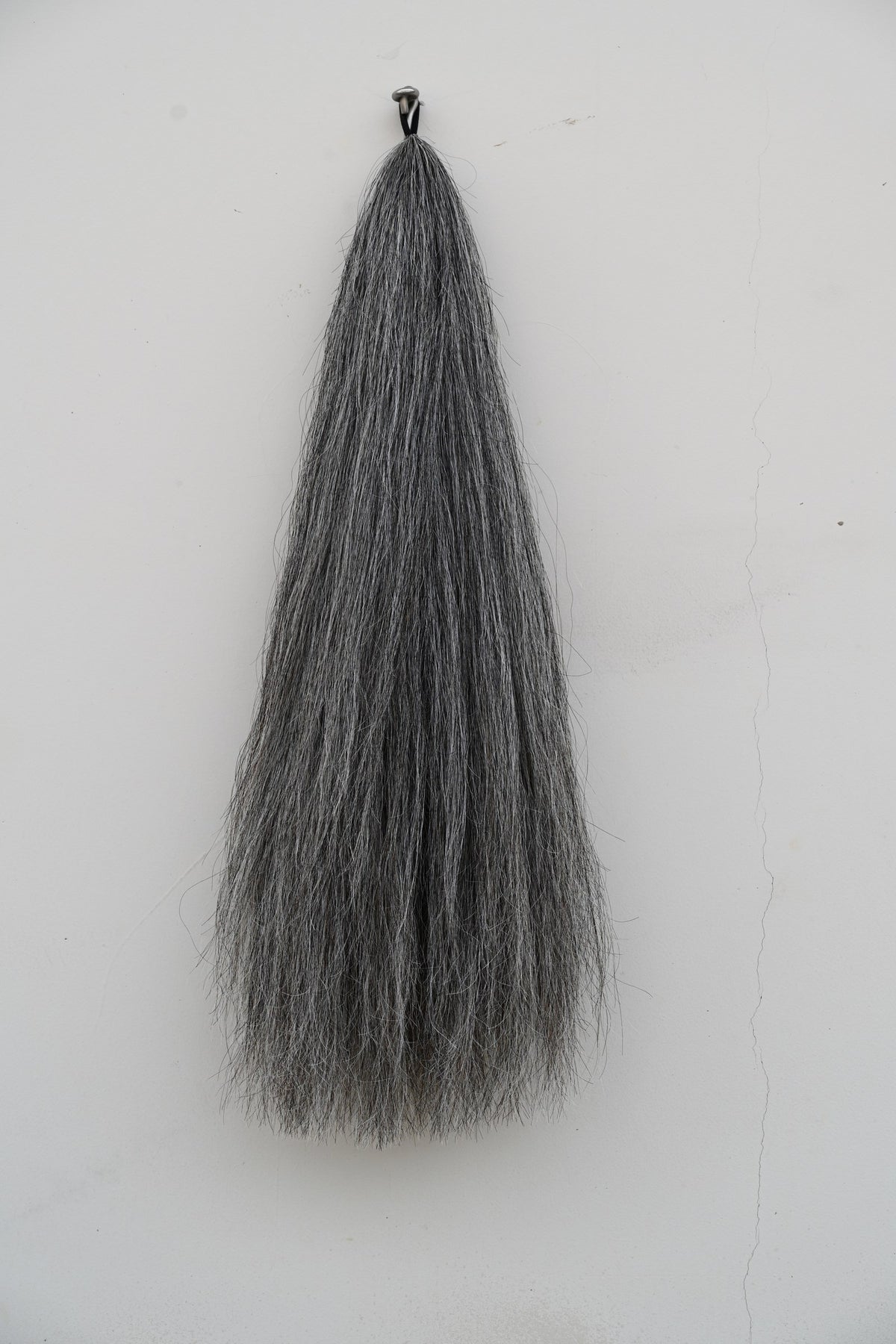 Extensión de cola tono Light Grey sobre fondo blanco