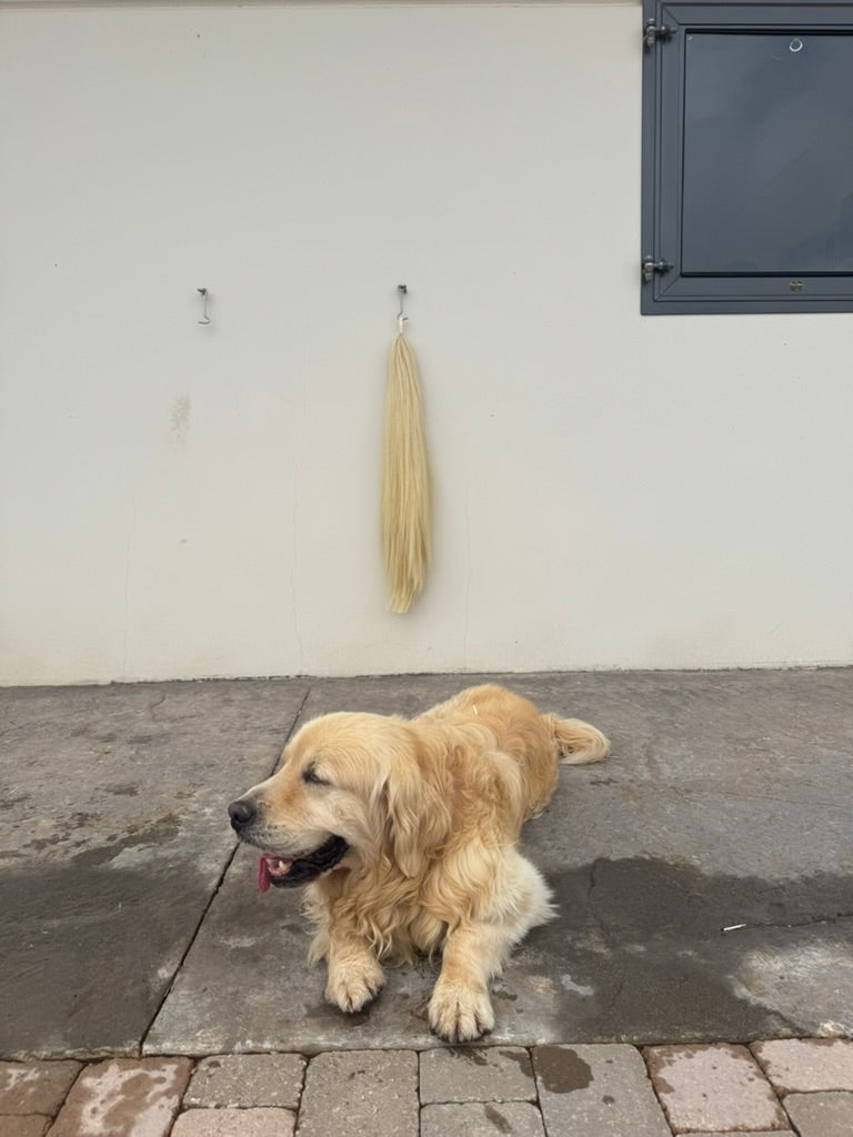 Extensión Horse Tails en tono crema colgada en la pared, con un golden retriever tumbado debajo